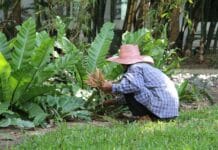 Bezpieczny ogród dla dzieci – zasady projektowania